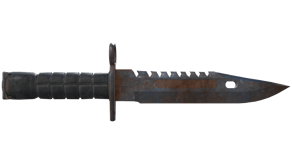 Rust Coat image