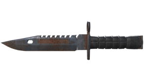 Rust Coat image