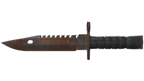 Rust Coat image