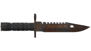 Rust Coat image