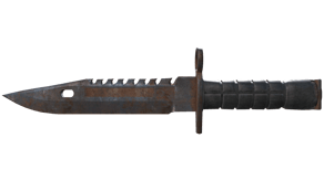 Rust Coat image