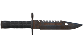 Rust Coat image