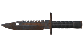 Rust Coat image