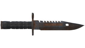 Rust Coat image