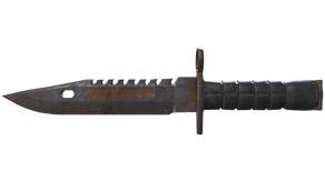 Rust Coat image