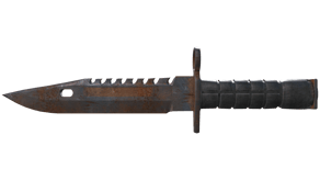 Rust Coat image