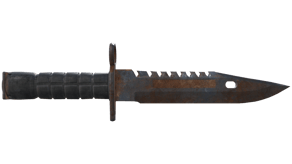 Rust Coat image