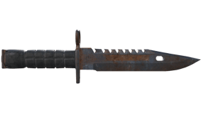 Rust Coat image
