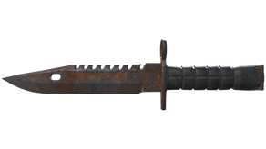 Rust Coat image