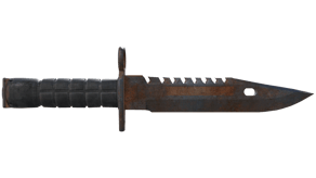 Rust Coat image