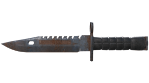 Rust Coat image