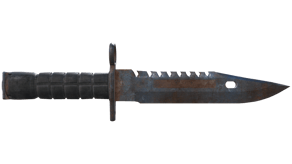 Rust Coat image