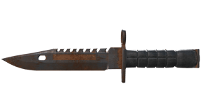 Rust Coat image