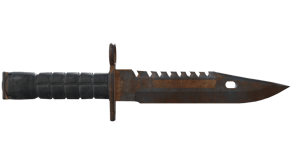 Rust Coat image