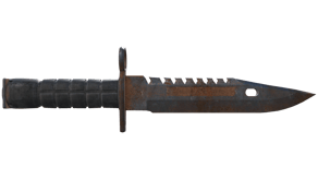 Rust Coat image