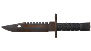 Rust Coat image