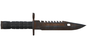 Rust Coat image