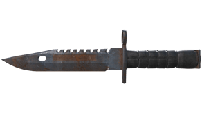 Rust Coat image