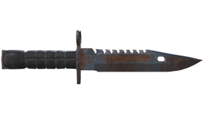 Rust Coat image