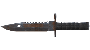Rust Coat image