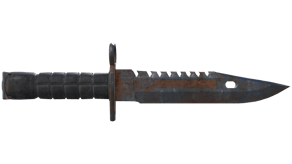 Rust Coat image