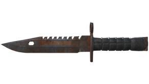 Rust Coat image