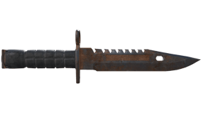 Rust Coat image