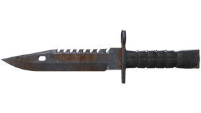 Rust Coat image