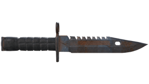 Rust Coat image
