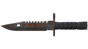 Rust Coat image