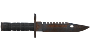 Rust Coat image