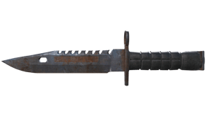 Rust Coat image