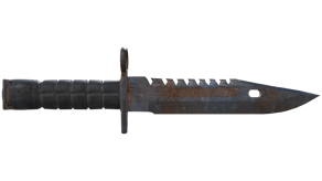 Rust Coat image