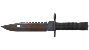 Rust Coat image