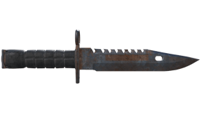Rust Coat image