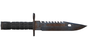Rust Coat image