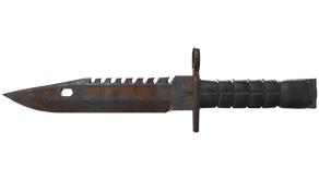 Rust Coat image