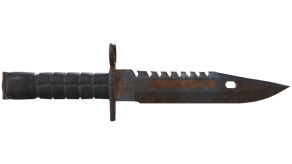 Rust Coat image