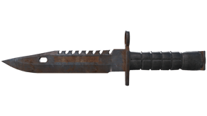 Rust Coat image