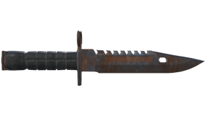 Rust Coat image