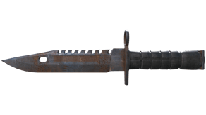 Rust Coat image