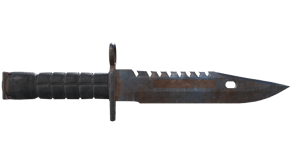 Rust Coat image