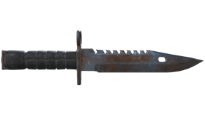 Rust Coat image
