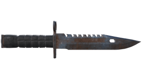 Rust Coat image