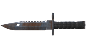 Rust Coat image