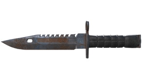 Rust Coat image