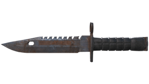 Rust Coat image