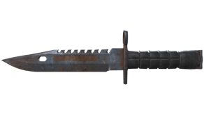 Rust Coat image