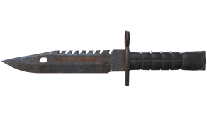 Rust Coat image