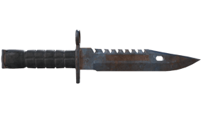 Rust Coat image